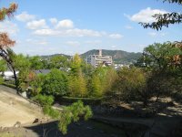 IMG_3225.JPG
